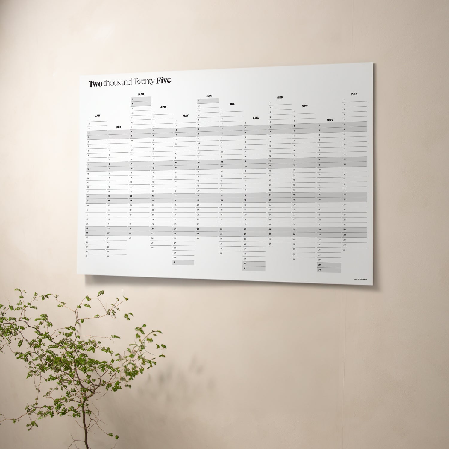 2025 Yearly Wall Planner