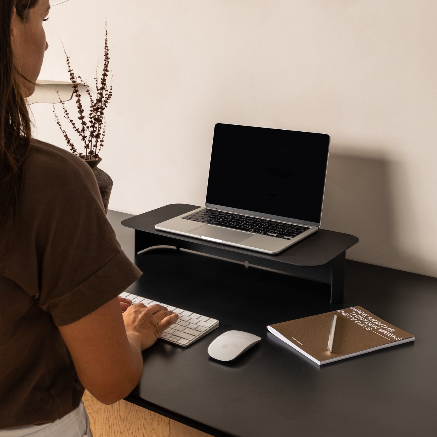 Curve Monitor Stand